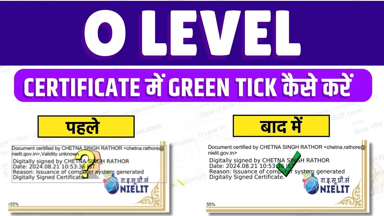 O level kya hai ?